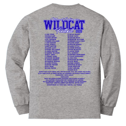 2025 Playoff T-Shirt Long Sleeve Gray